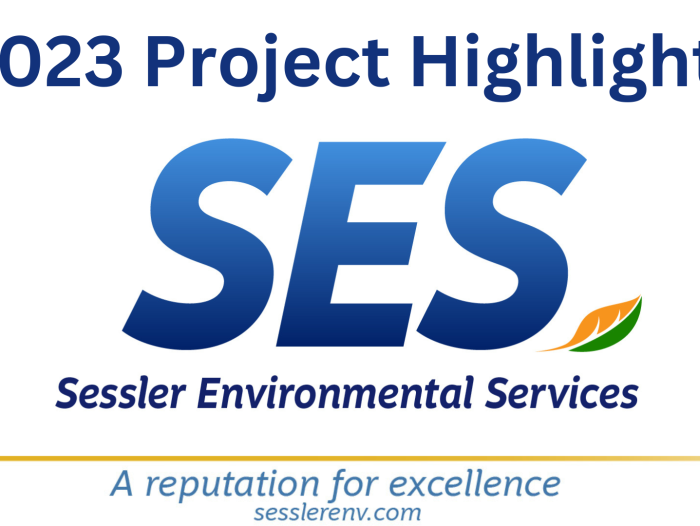 Ses Year In Review